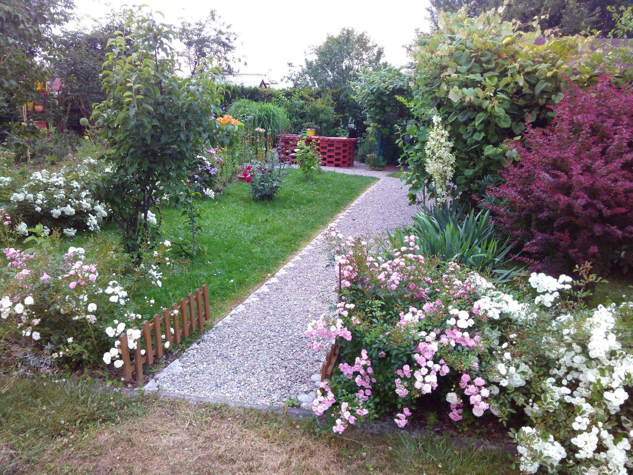 Wejście na dziłkę wykonane z grysu kamiennego