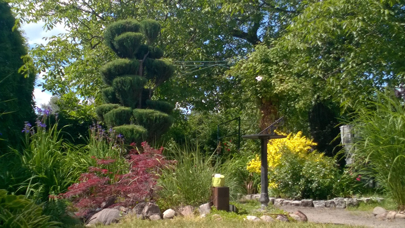 widok na część "dziką"