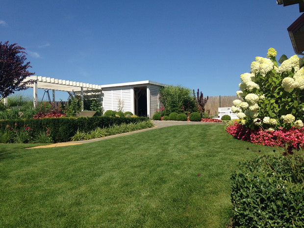 Widok na domek narzędziowy i pergolę