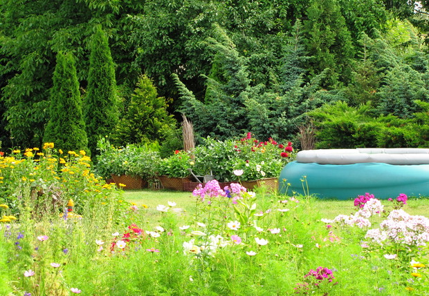 Widok na ogród  z altanki ogrodowej.