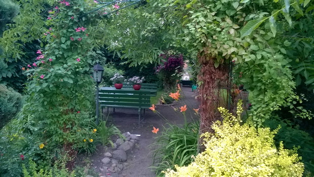 widok na "salon",  dale ścieżka prowadząca do warzywnika 