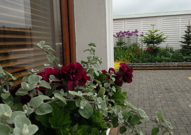 Widok od strony podjazdu