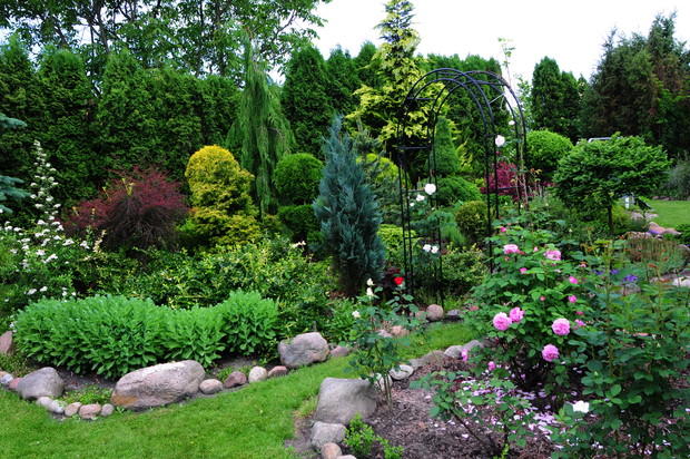 widok ogólny na jedną część ogrodu