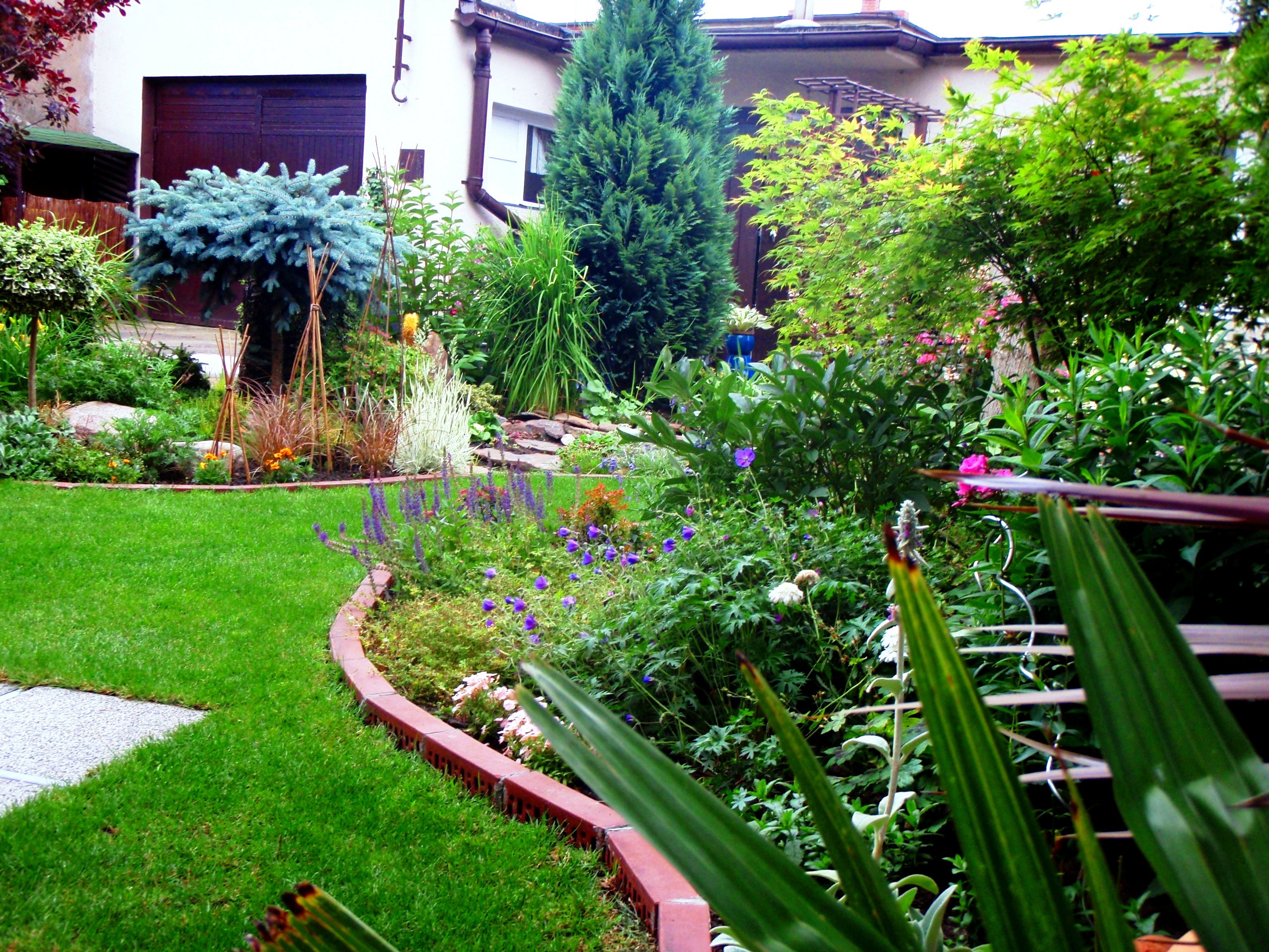 Widok spod parasola, rabaty południowe.
