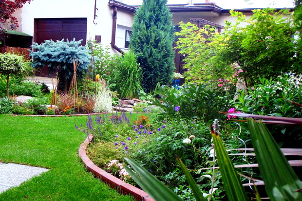 Widok spod parasola, rabaty południowe.