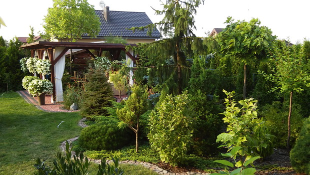 widok z boku na altankę oraz krzewy