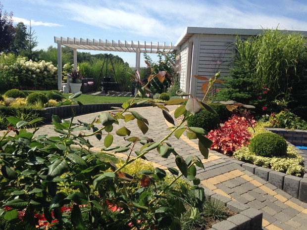 Widok z okna jadalni, w oczekiwaniu na rozkwitniętą różę