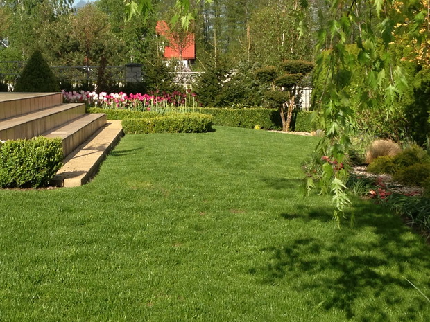 Wiosenne spojrzenie od strony placu zabaw