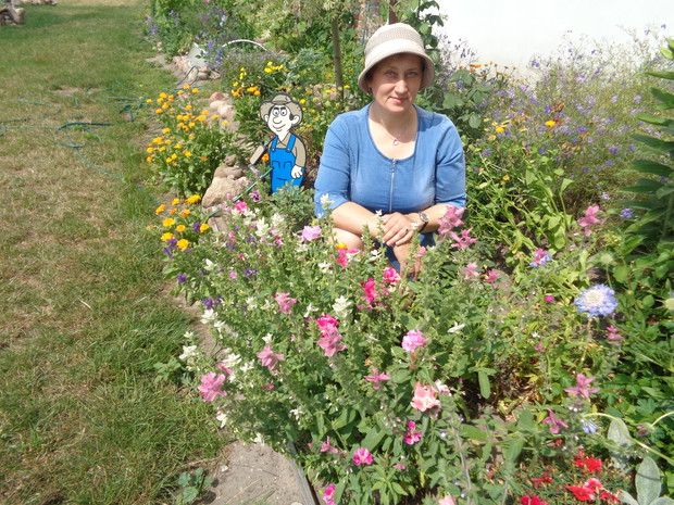 Wspaniałe kwiaty jednoroczne ,