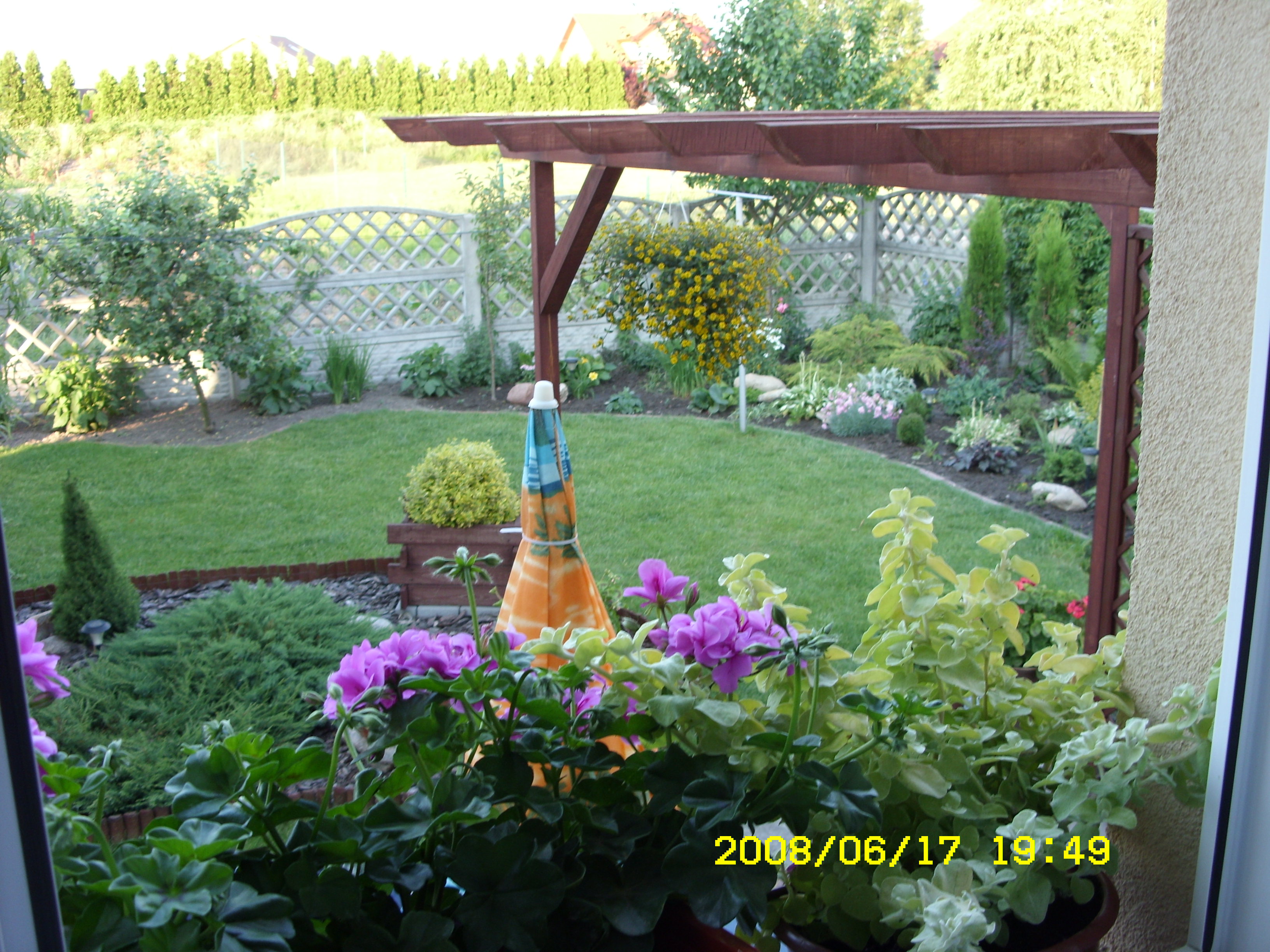 Wyglądam przez okno i taki mam widok 