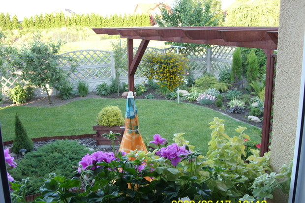 Wyglądam przez okno i taki mam widok