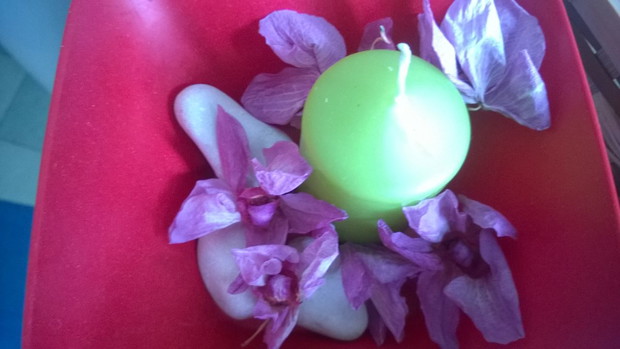 wykorzystanie zeschlych kwiatow