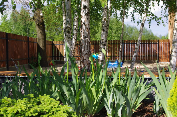 Zakątek brzozowy (plac zabaw w budowie)