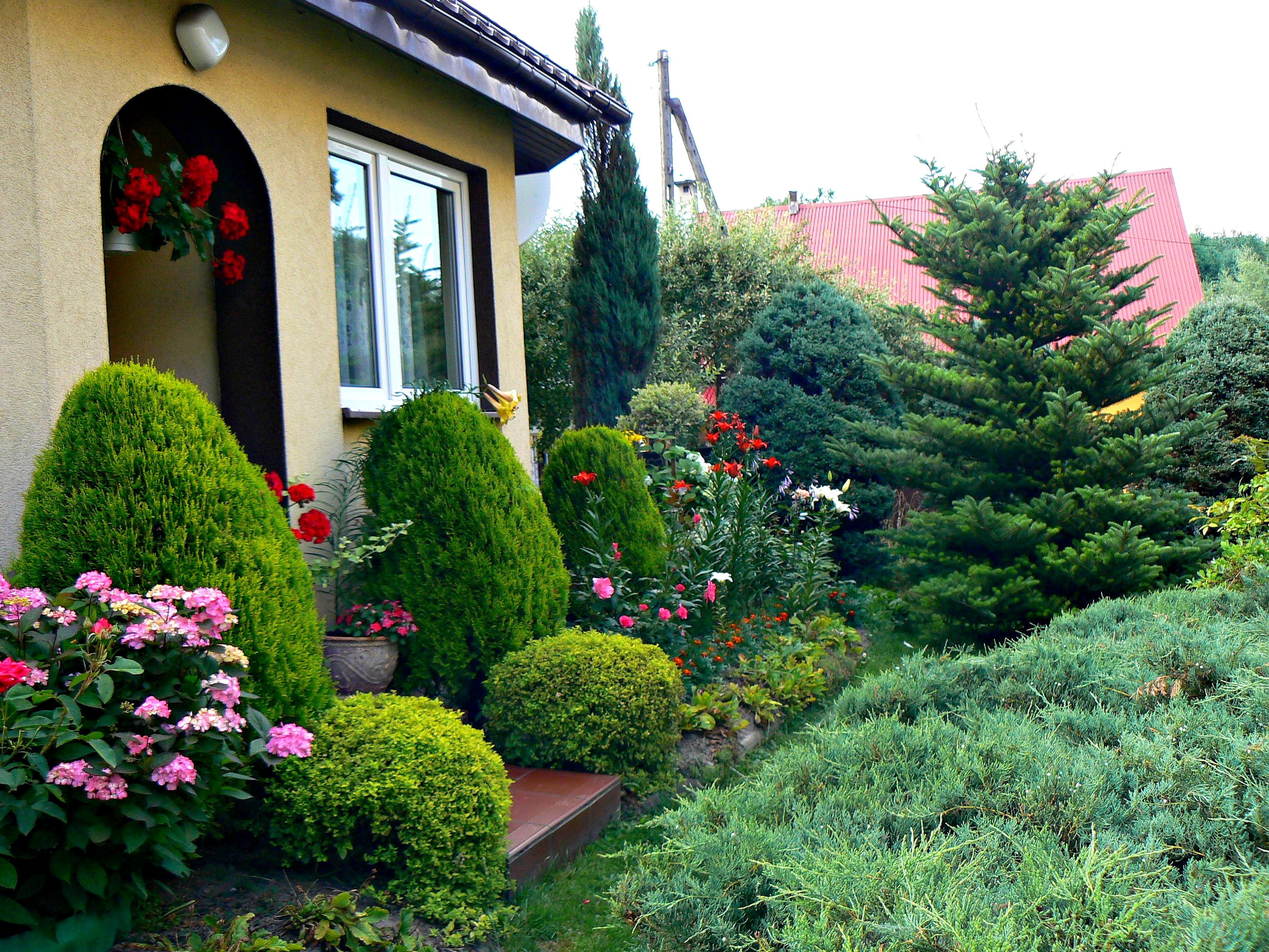 Zapraszam do ważnych miejsc w moim ogrodzie. Wyjście z domu.