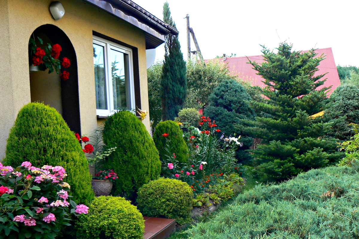 Zapraszam do ważnych miejsc w moim ogrodzie. Wyjście z domu.