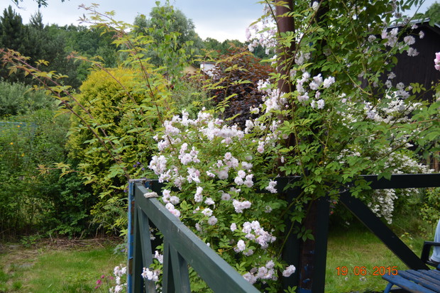 ..a ja spoglądam z tarasu..