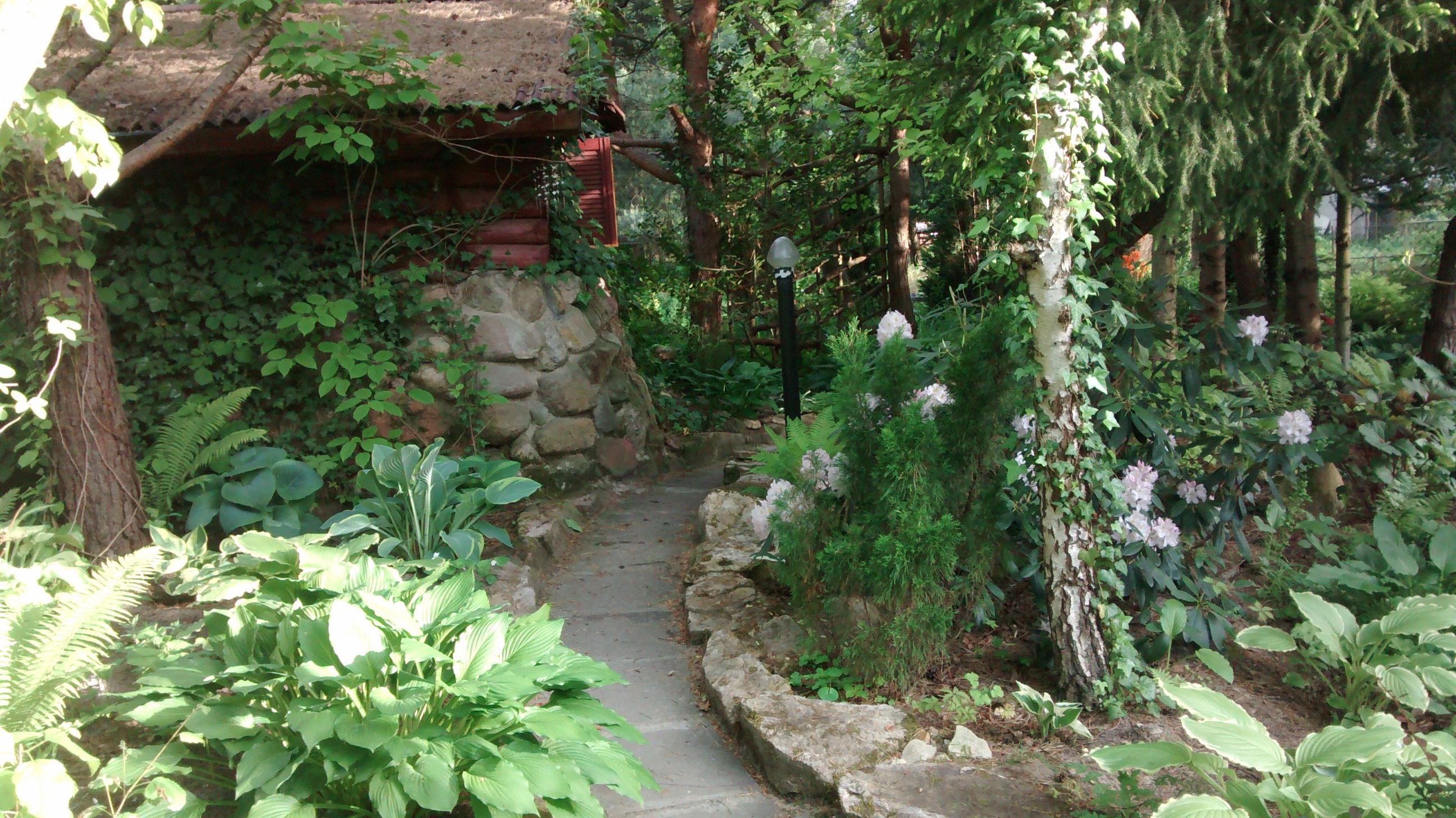 altana wśród drzew