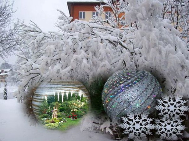 Bez obsypany śniegiem.