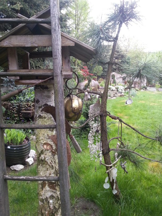 Coś dla ptaszków...