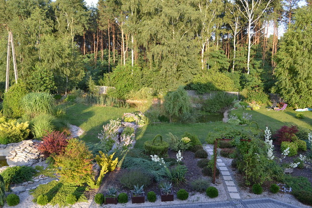 Część ogrodu widziana z okna.