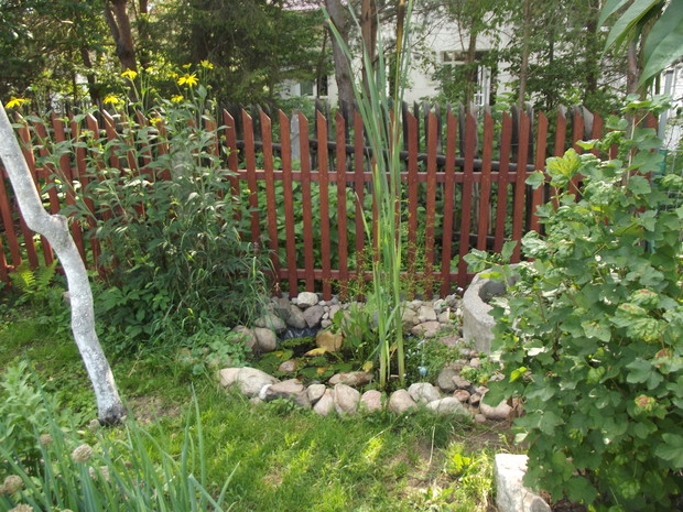 Drugie oczko wodne ulokowane przy warzywniaku.