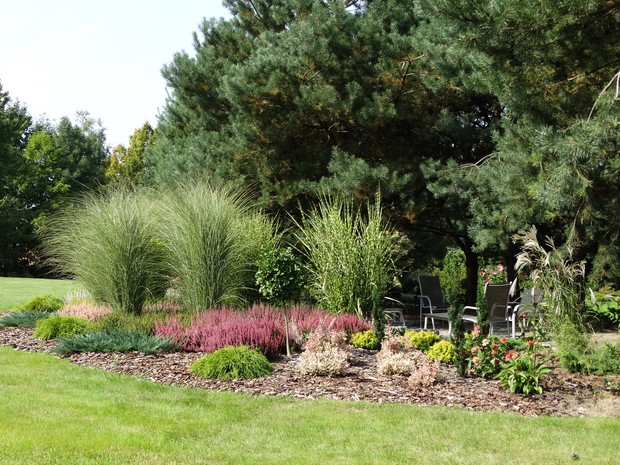 Jesień to czas kwitnących wrzosów.