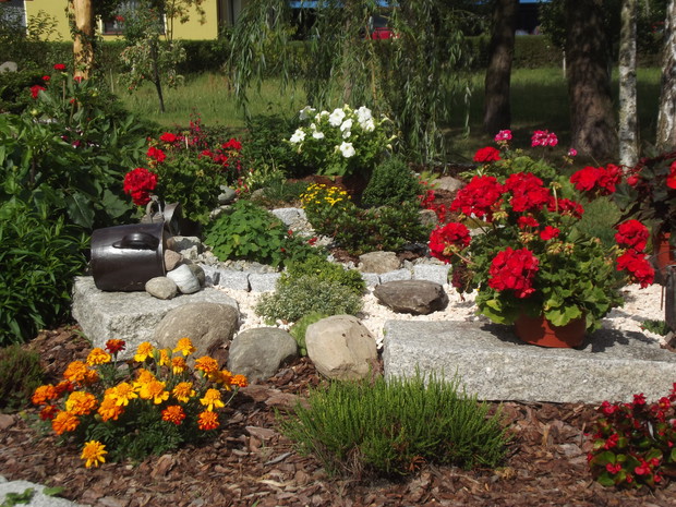 Kamienie dodają uroku ogrodu śródziemnomorskiego. 