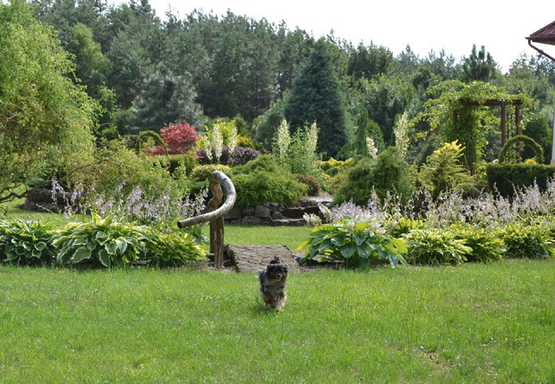 Kamienny mostek nad strumykiem, obsadzony funkiami. 