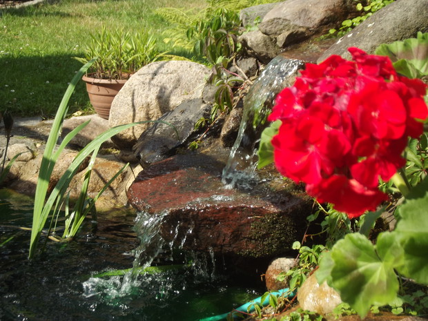 Kaska i pięknie spływająca woda. 