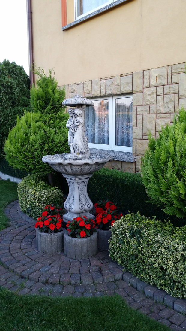 Kolejna z ozdób ogrodu