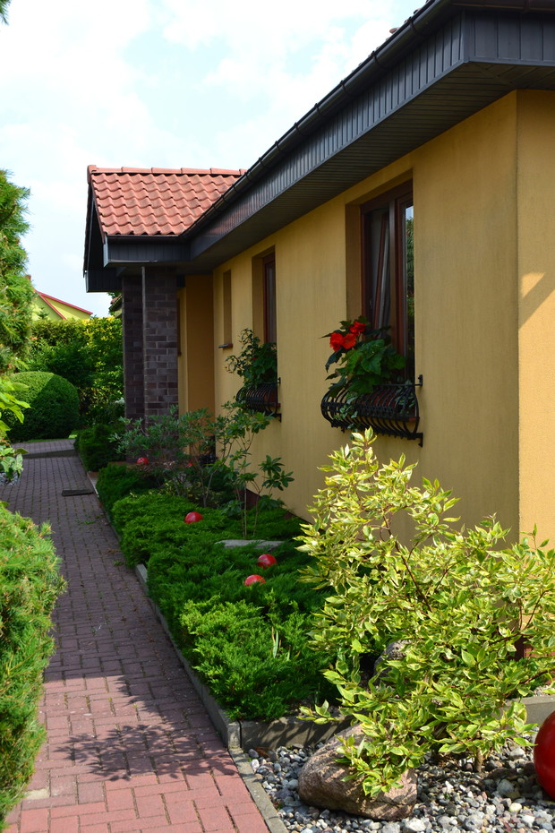 Kwitnące begonie na oknach.