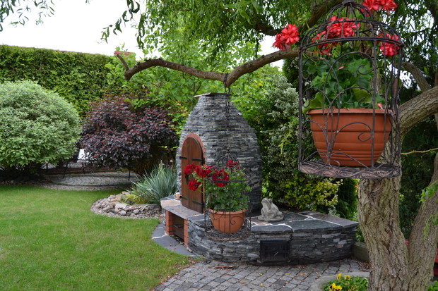 Kwitnące pelargonie na wierzbie.