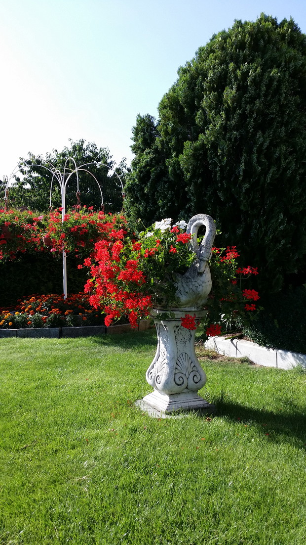 Łabędź - jeden z elementów małej architektury