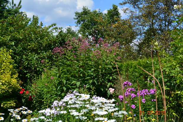 Lato, lato wszędzie..