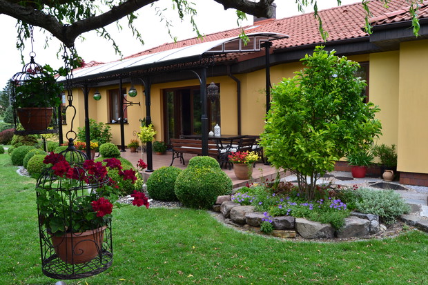 Magnolia z rabatą przy tarasie.