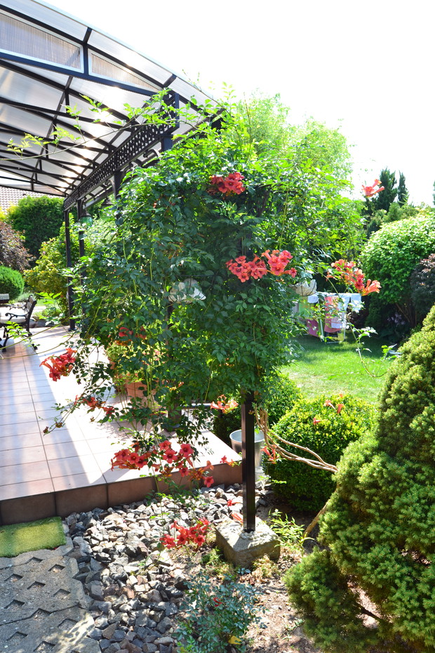 Milin w pełnej krasie.