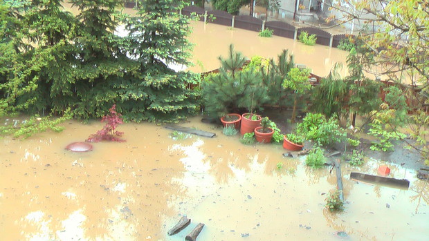 Mój ogród w 2010 roku znów stał w wodzie przez kilkanaście dni. Ogród był zniszczony i smutny. Większość roślin i drzew nie przetrwało takiej wody. Zrobiliśmy wszystko od początku..