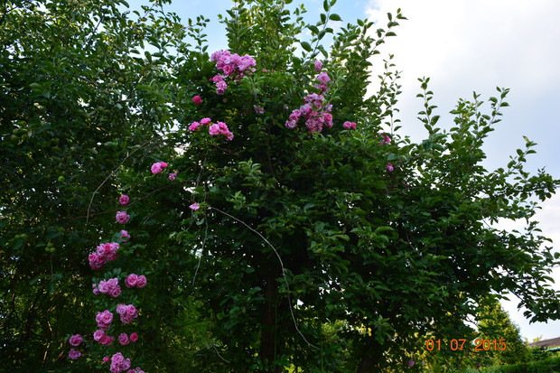 nie można się napatrzeć