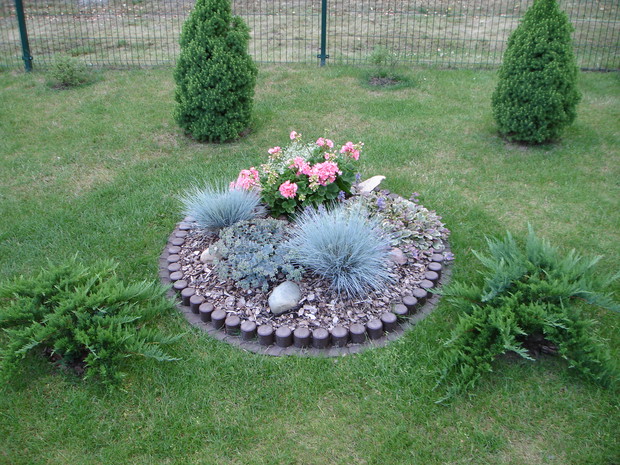 Niewielka ozdobna „wyspa” na trawniku.