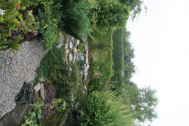 oczko i karasie przyciągają wzrok nie tylko dzieci 