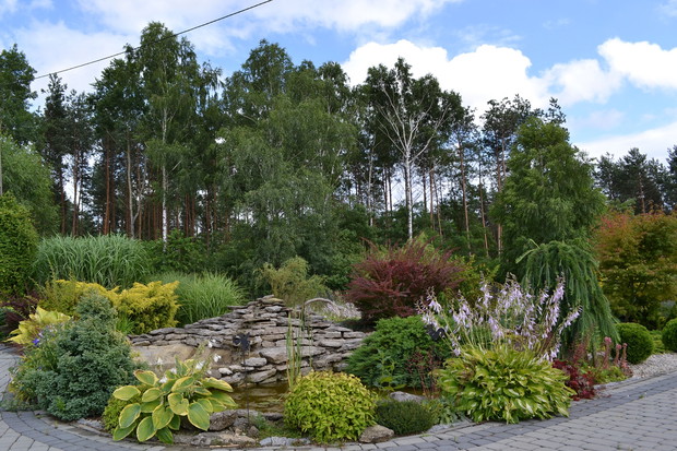 Oczko wodne z rybkami, które połączone jest strumykiem ze stawem.