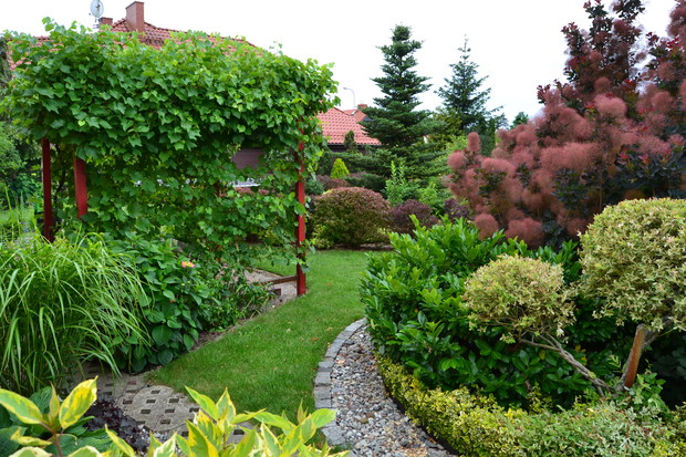 Ogód w pełni lata.