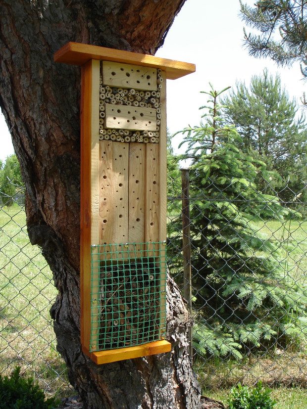 „Owadnik” – pomysł i wykonanie własne.
