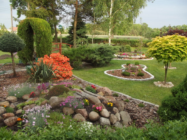 Pierwsze wiosenne kwiaty.