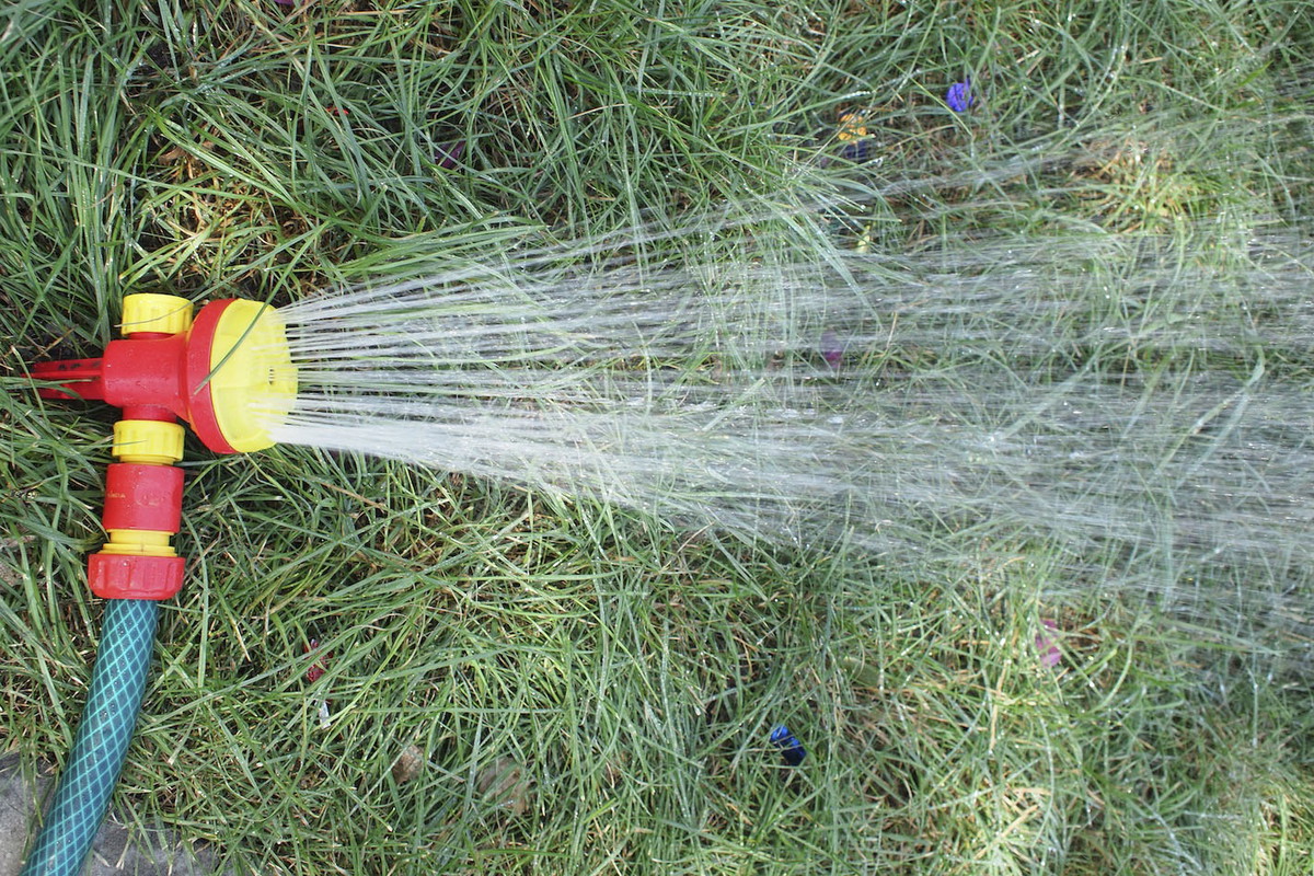 Podlewanie trawnika jest kluczowe, szczególnie w czasie upałów (zdj.: Fotolia.com)