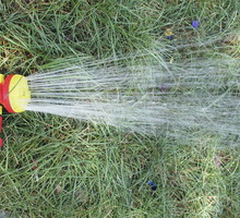 Podlewanie trawnika jest kluczowe, szczególnie w czasie upałów (zdj.: Fotolia.com)