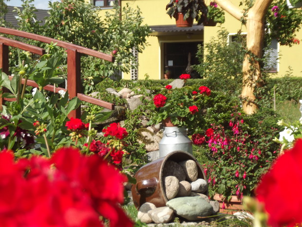 Połączenie kamieni i kwiatów.