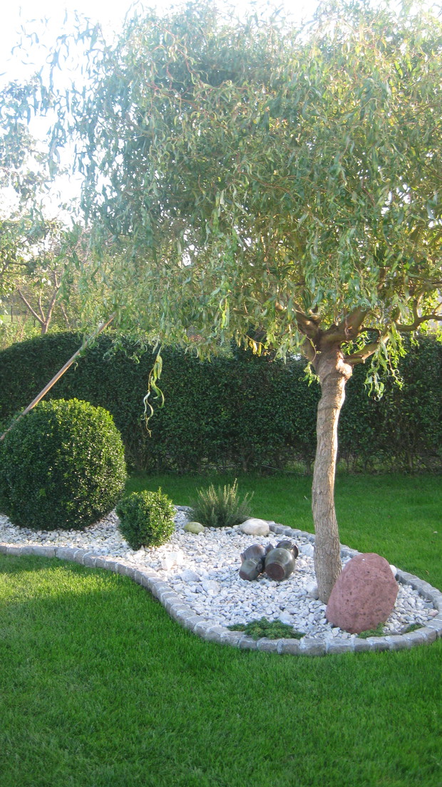 Rabatka przy oczku wodnym