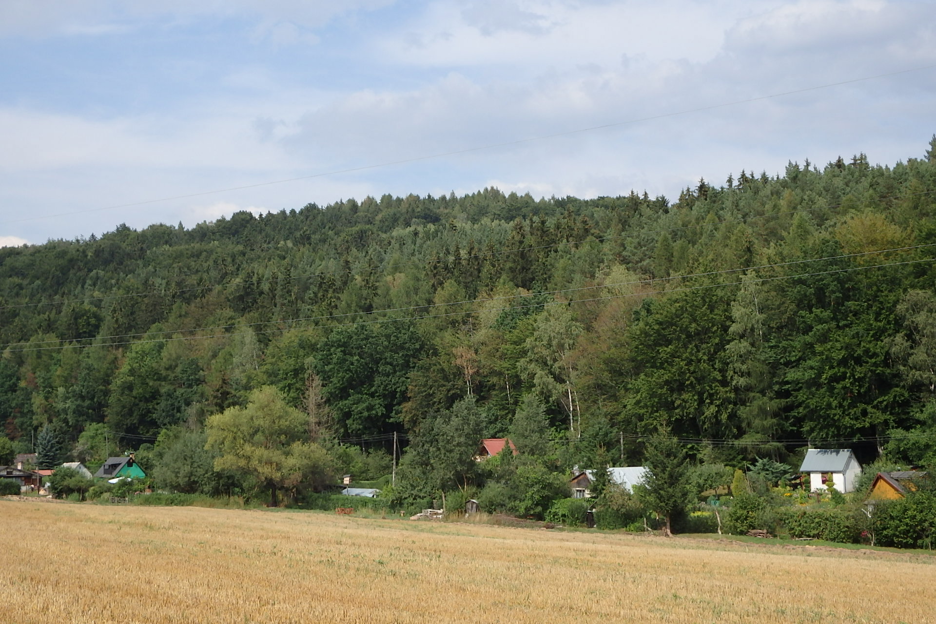  ROD "Zielona Dolina"