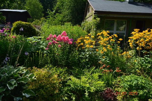są jeszcze inne piękne miejsca i kwiaty
